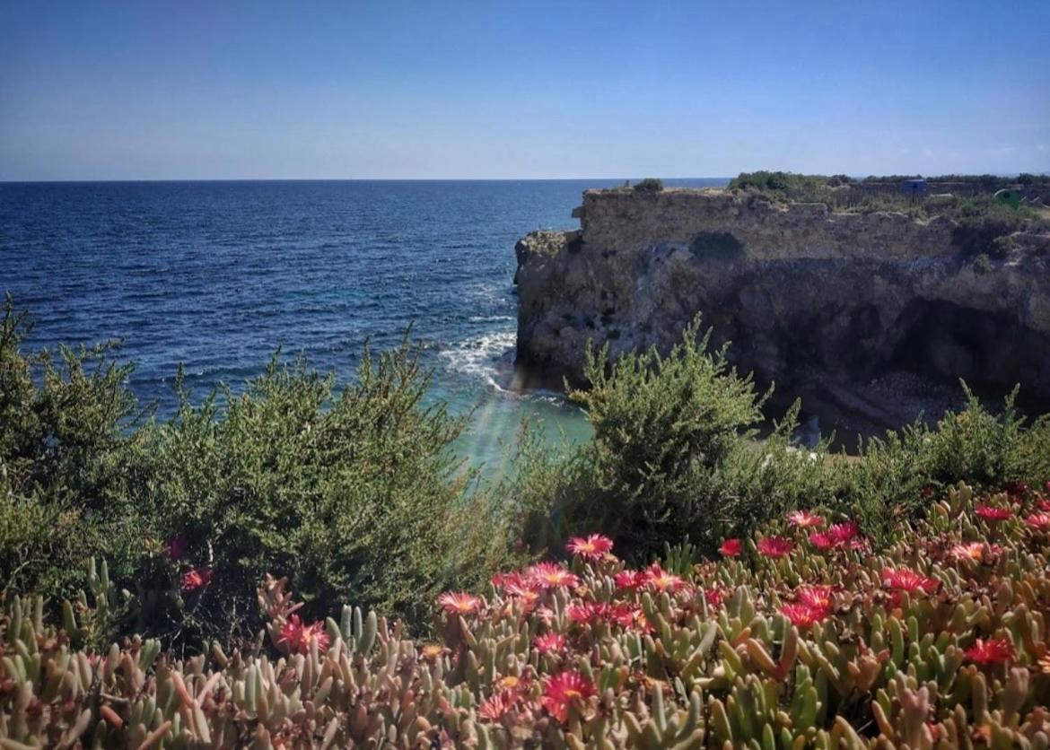La Margarita Διαμέρισμα Τορεβιέχα Εξωτερικό φωτογραφία